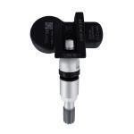 RDKS_silber RDKS_silber