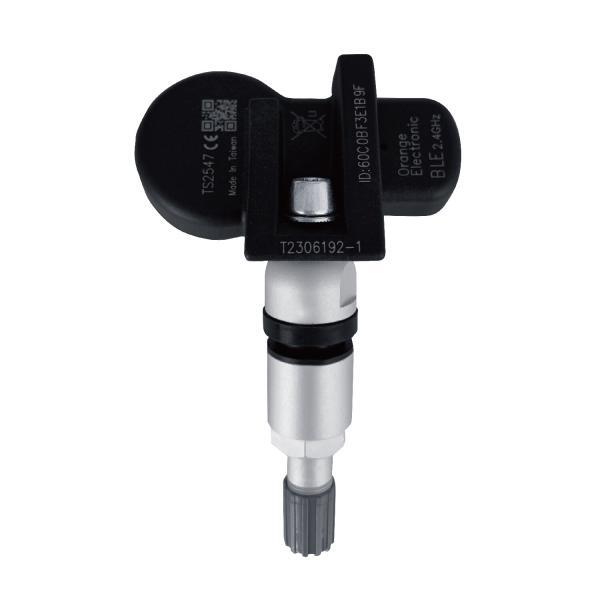 RDKS_silber RDKS_silber